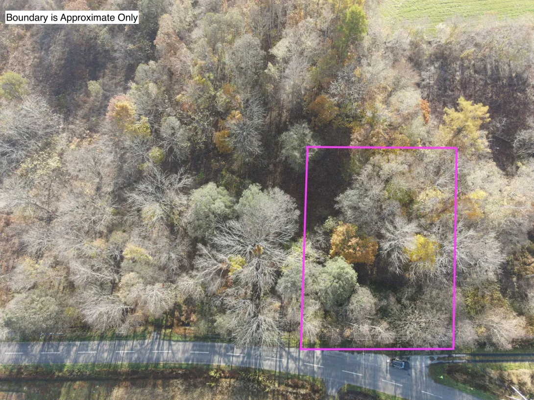 462544185_1655184345410400_7332196739338864246_n